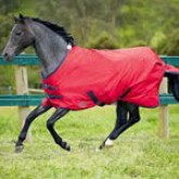 Horse Wear (0)