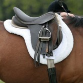 Saddlery (0)